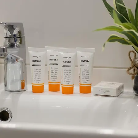 Bright And Quiet Studio With Balcony In The Center Of By Renters 公寓 *